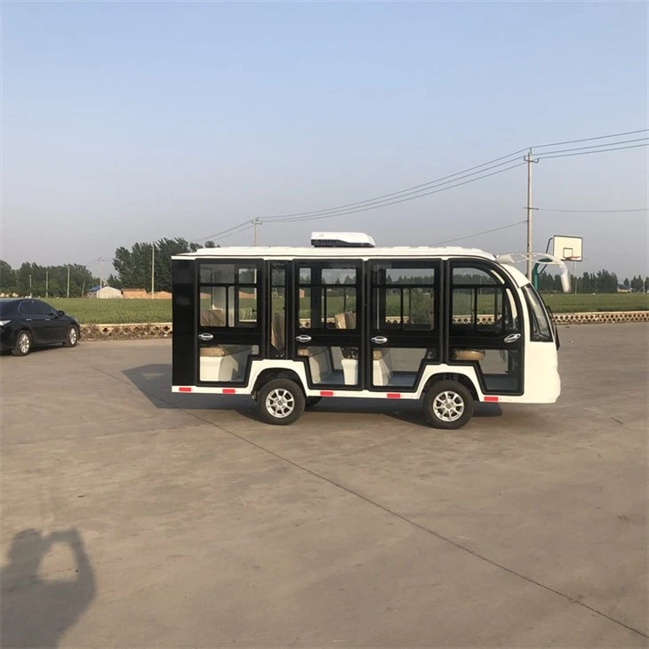 Sightseeing Electric Car